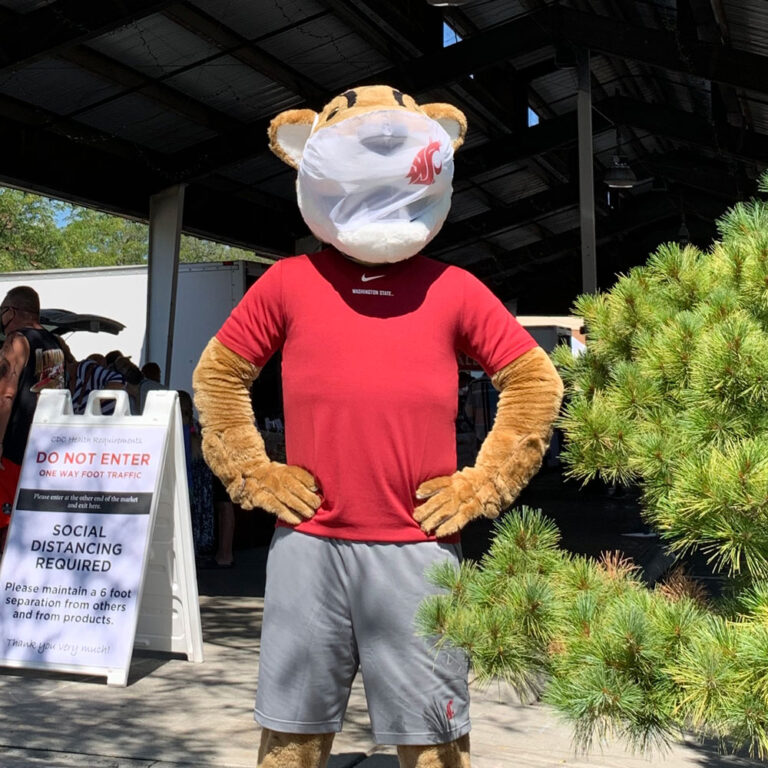 Custom Mascot Masks Olympus Mascots