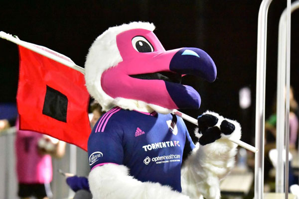 Tormenta FC – Bolt the Ibis Mascot - Olympus Mascots