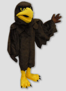 school mascot eagle mascot