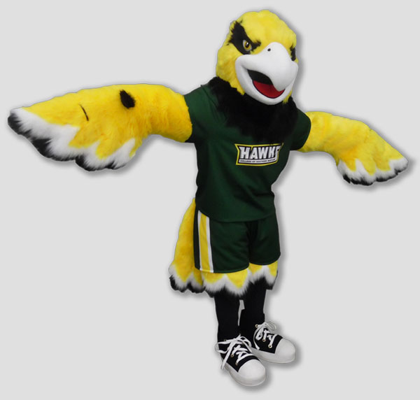 School mascot hawk