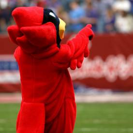 Custom-Bird-Mascot-Costume---Cardinal