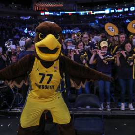 Custom Bird Mascot - Marquette-University-Golden-Eagle-web-600