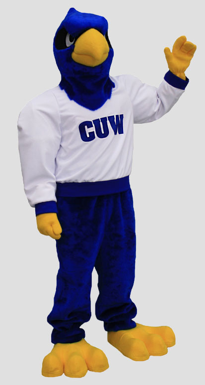 School mascot falcon with jersey