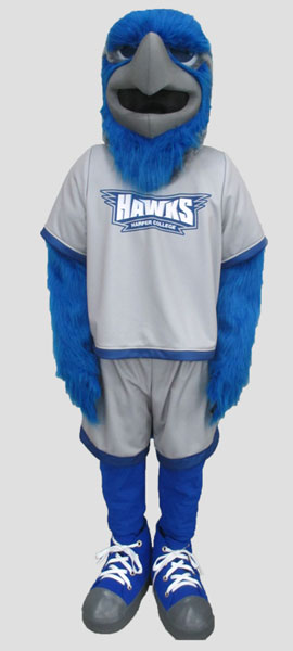 School mascot hawk