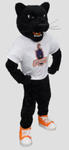 School mascot panther