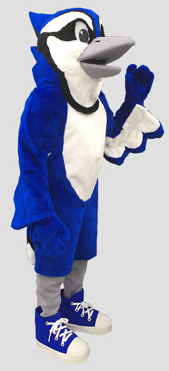 school mascot blue jay bird