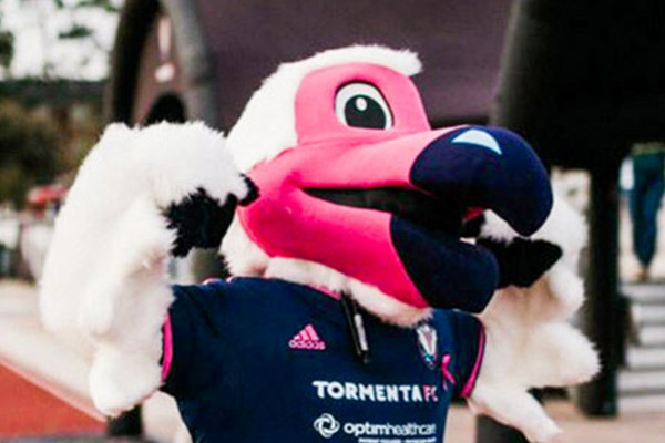 Tormenta FC Bolt the Ibis Mascot