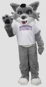school mascot wolf