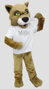 School mascot wildcat