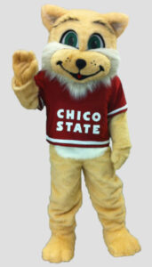 School mascot wildcat