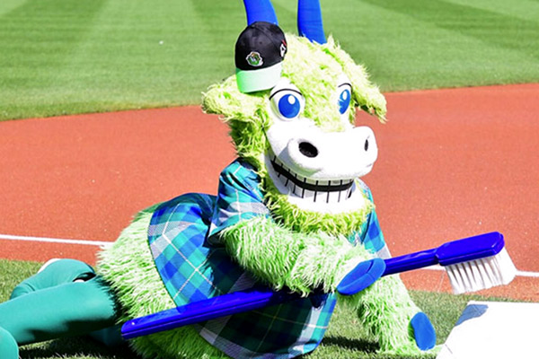 Hartford Yard Goats Chompers on the field