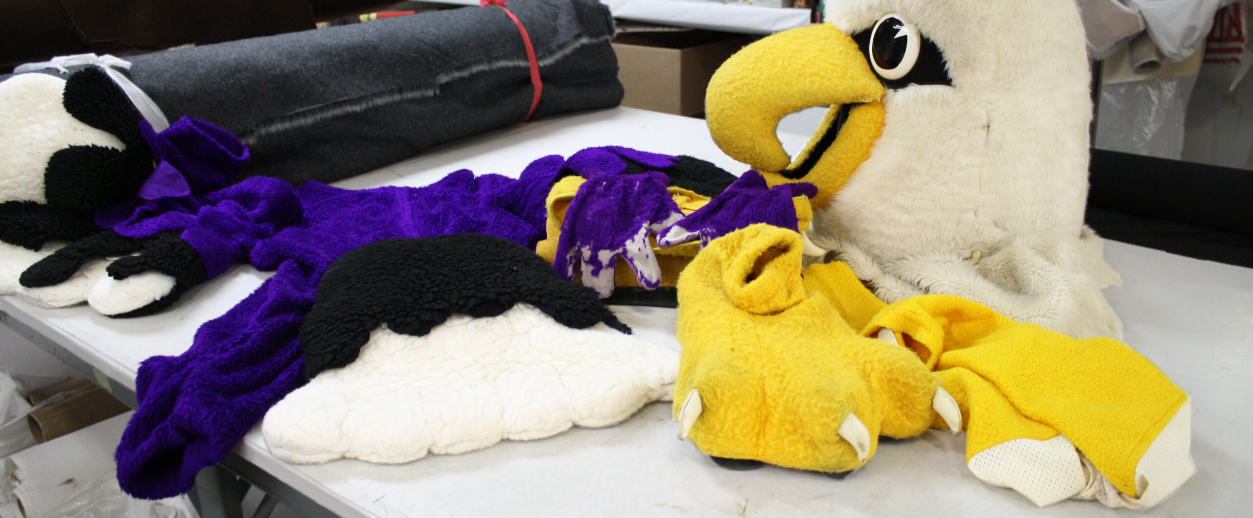 Example of an old and dirty eagle mascot