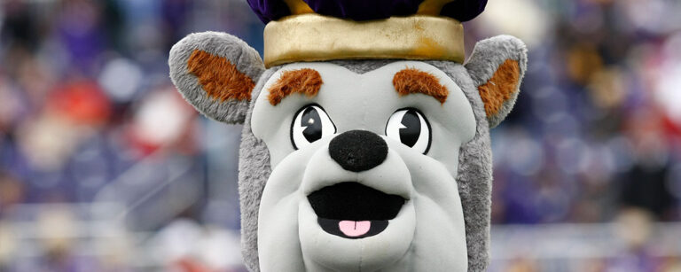 Bulldog Mascot: The Worlds Most Popular Mascot - Olympus Mascots