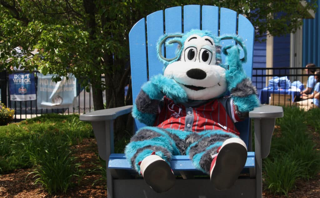 Oly Olympus sitting outside on a big blue Adirondack Chair