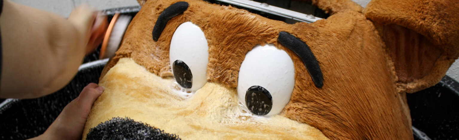 Close up of yogi bear's head being hand washed