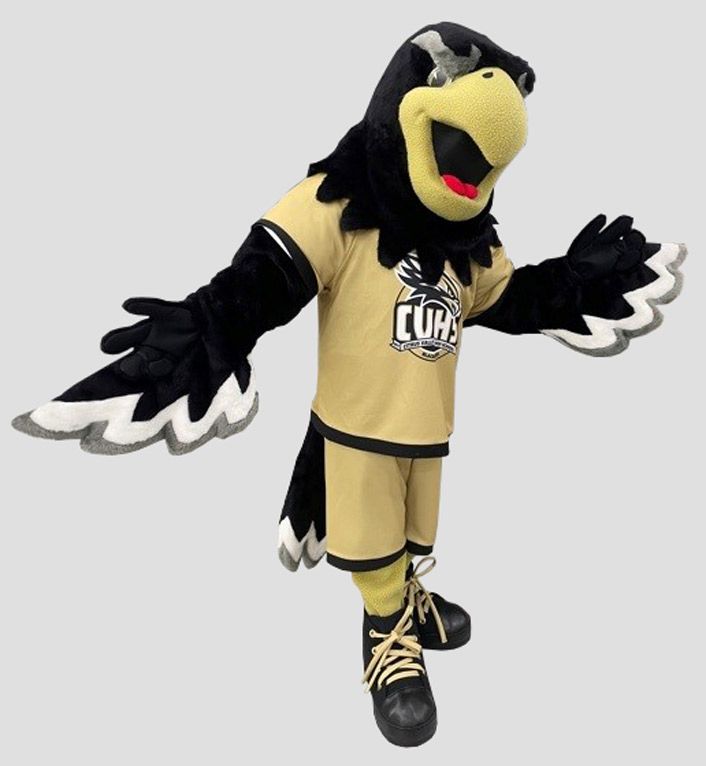 Black and gold blackhawk mascot for school