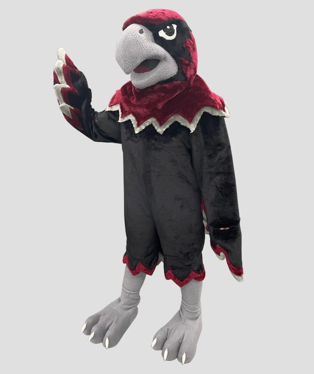 Hawk Mascot for Farmington Riverhawks