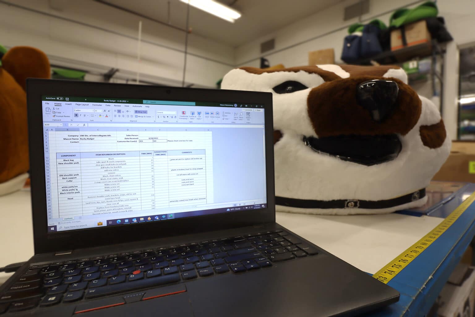 Mascot Cleaning And Repair Olympus Mascots