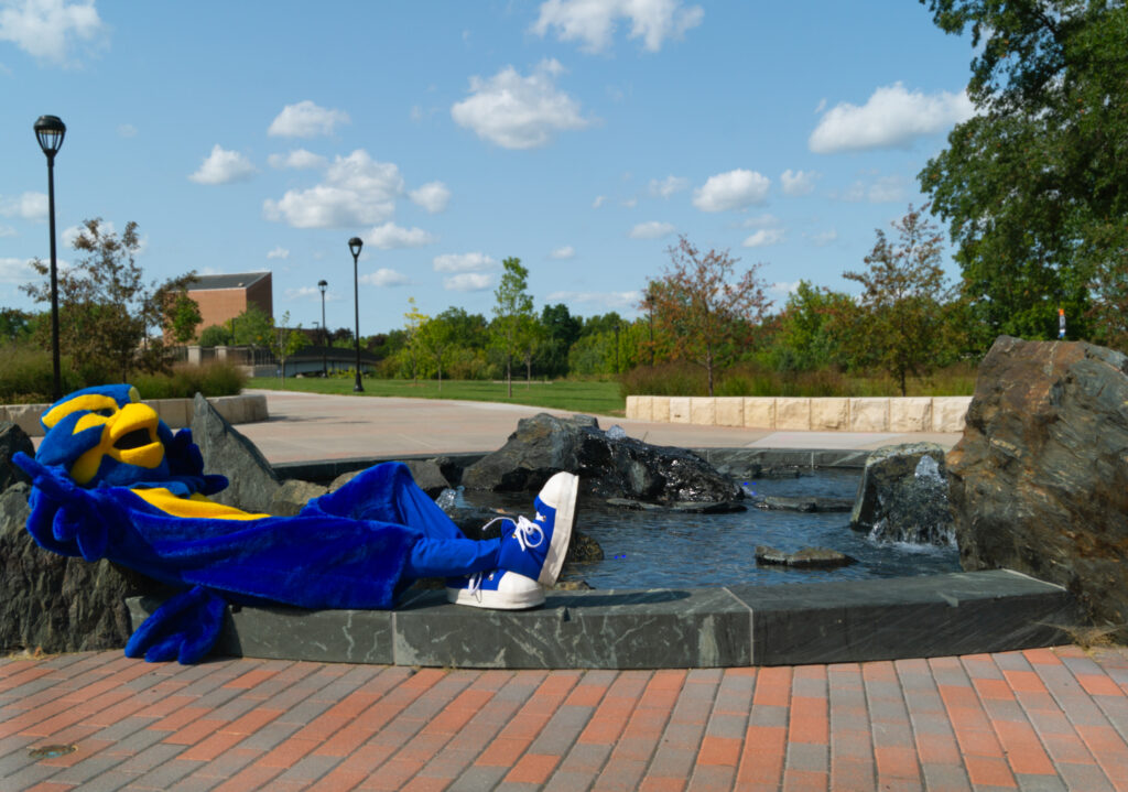 A blue custom mascot bird relaxing on a rock next to a pool of water.